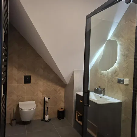 Апартаменты Zacisze Wilcza Зажече